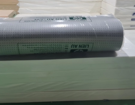 NỆM CAO SU THIÊN NHIÊN HOẠT TÍNH LATEX NỆM CAO SU THIÊN NHIÊN HOẠT TÍNH LATEX