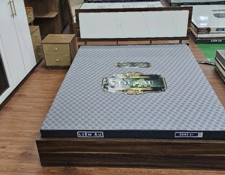 NỆM LIÊN ÂU ZONE 5+ - Nệm cao su NỆM LIÊN ÂU ZONE 5+