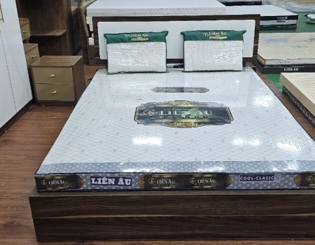 NỆM LIÊN ÂU THIÊN NHIÊN COOL - CLASSIC NỆM LIÊN ÂU THIÊN NHIÊN COOL - CLASSIC