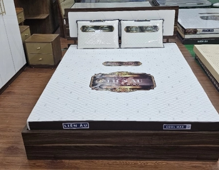 NỆM LIÊN ÂU COOL - MAX NỆM LIÊN ÂU COOL - MAX