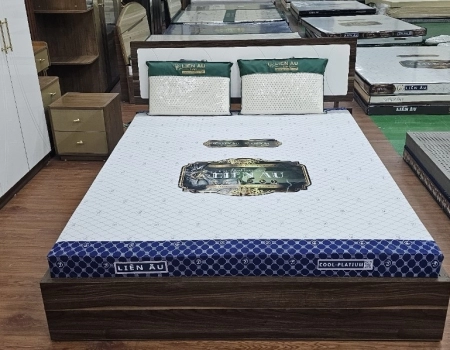 NỆM LIÊN ÂU THIÊN NHIÊN COOL - PLATIUM NỆM LIÊN ÂU THIÊN NHIÊN COOL - PLATIUM