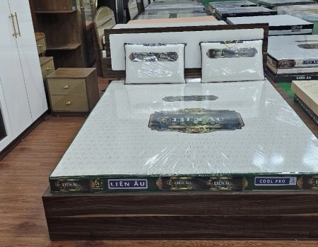 NỆM LIÊN ÂU COOL - PRO NỆM LIÊN ÂU COOL - PRO