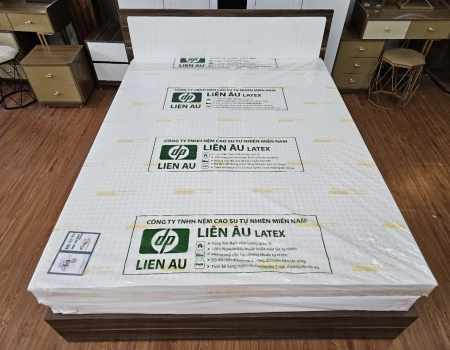 NỆM LIÊN ÂU PLUS LATEX - 2 MẶT TRÒN NỆM LIÊN ÂU PLUS LATEX - 2 MẶT TRÒN