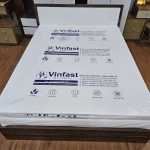 NỆM VINFAST WHITE BLUES